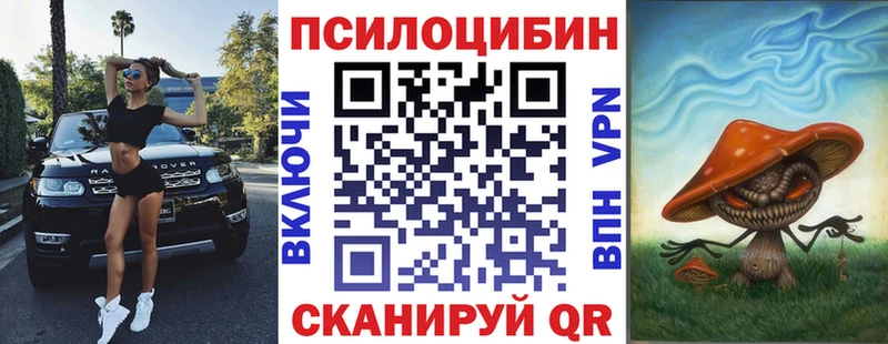 кракен маркетплейс  купить закладку  Болгар  Псилоцибиновые грибы Cubensis 